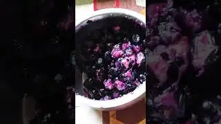 Jamun Chaat Banane ka Tarika||#shorts #tasty #Zaika,#trendingshorts ,