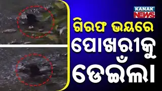 Thief Jumps Into Pond In Fear Of Arrest In Puri | Police Caught Him