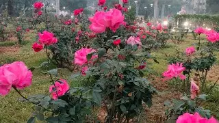 1. AKchannel1987 – good morning namaste p Ham sab ka swagat hai 🙏🙏👍👍❤🚩