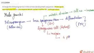 Arrange the following terms in the correct development sequence : Pollen grain, sporogenous tiss...