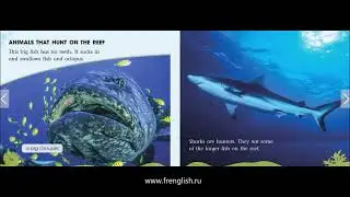 Life on the Reef - American English - Cambridge Reading Adventures Orange - www.frenglish.ru