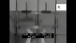 1950s USA, Weight Loss Machines, Gymnasium