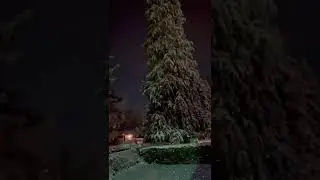 Snowy laser snow at night