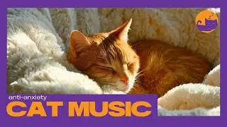 15 HOURS of Soothing Music for Cats - Calming Gentle Instrumentals 💤🐱