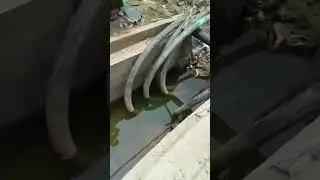 11kv jb indoor #viraltrend #tending #viral #shortvideo #motivation #working #work #workout