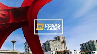 Cinco Cosas: Manifestaciones contra ICE en Washington, el Campeonato de la NFC, y más