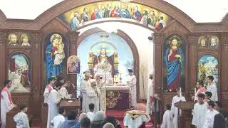 St. Mary & St. Mark Coptic Church Live Stream