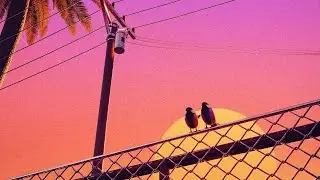 Funny Death - Fell for It (Synthwave / Chillwave)