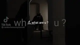 Oh no! It&rsquo;s a furry 😳😂🤯