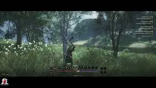 Chrono Odyssey | Where to find Arche Wood, Golden Branch & Zandari Ridge Walker | Twitch iicyspicyy