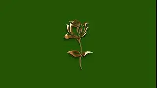 Golden Rose 3d green Screen Free Dowload 2022