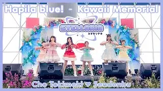 【STELLARIA】🥇 Hapilablue! + Kawaii Memorial -  Cho Tokimeki ♡ Sendenbu (Dance Cover) at KOISURU 2024