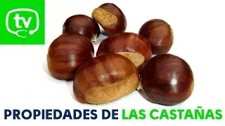 Las propiedades nutricionales de la casta&ntilde;a