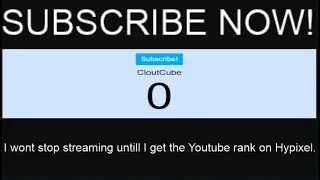 I wont stop streaming until I get Youtube rank on hypixel