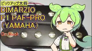 Dimarzio P1 PAF-PRO? on neck
