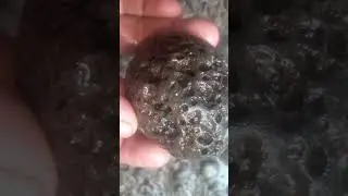 batu sarang semut  pembawa emas