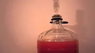 Timelapse of Cider Fermenting