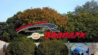 ПРОГУЛКА по Николаевскому Зоопарку 2017 !!!!!!Nikolaev ZOO Ukraine