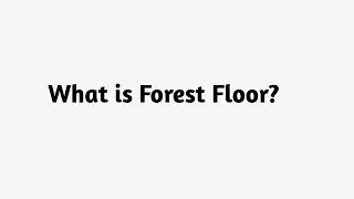 What is Forest Floor ?