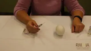 RMIA - Progesterone Ethyl Oleate Injection Teaching