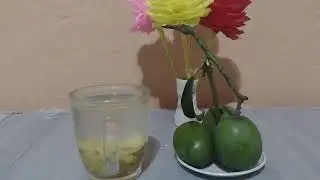 Green mango tea, cholesterol, diabetes, and its benefits.