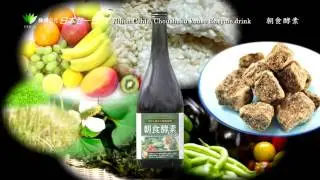 NIHON CEHLA CHOUSHOKUKOUSO Enzyme drink PV