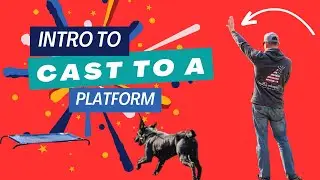 Введение в кастинг собак с использованием платформ