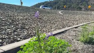 Temecula Parkway Interchange Beautification