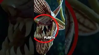 Most DANGEROUS Plants That Can Delete Your Whole Personality 😱 #facts #scary #plants #dangerous