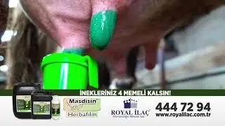 Herbafilm İneklerinizi Mastitisten Korur / Royal İla&ccedil;