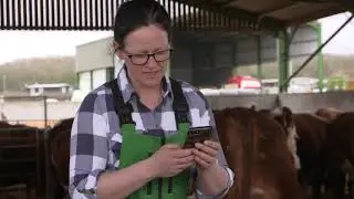 Herdwatch App Helen Parr Case Study
