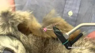 Coyote Gotcha Bonefish Fly Tying Instructional
