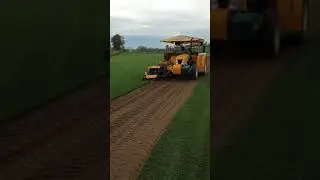 Futura Gardening -  Kesmac 2150 Sod Harvester