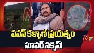 Kumki Elephants First Operation Successfully in Chittoor District | NTV Telugu