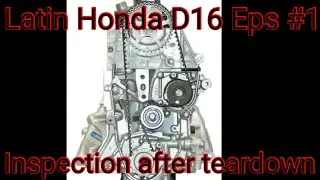 Latin Honda D16 Eps #1 :inspection