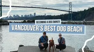 Ambleside Dog Beach Adventure | West Vancouver, BC