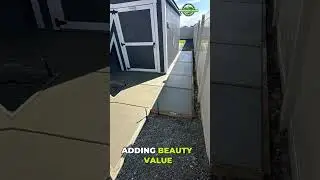 DEFINED BORDERS TIMELESS RESULTS
