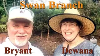 Bryant & Dewana work together to clear some trees