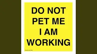 Do Not Pet Me I Am Working