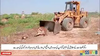 Cleanliness Activity | SSWMB | Garbage Collection | Door to Door | District Malir | Clean Karachi.