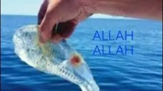 Rasul Allah Ke Story Rasul Allah Ke Qahani