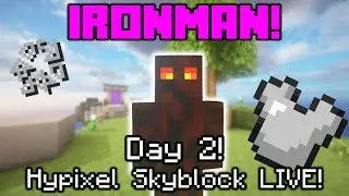 Day 2 of IRONMAN GAMING! | Hypixel Skyblock Live