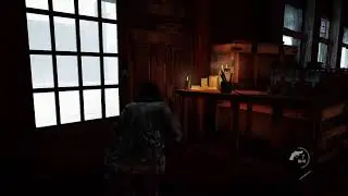The last of us