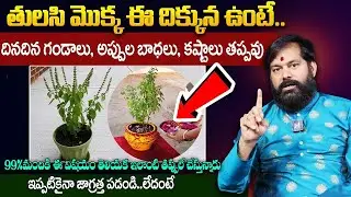 ఇంట్లో తులసి మొక్క ఈ దిక్కున ఉంటే గండాలే ? || Unknown Facts About Tulsi Plant | Pradeep Joshi