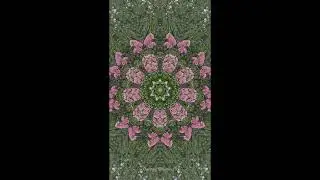 Kaleidoscopic Relaxation Meditation Music Visual Sacred Geometry - Trees & Rain