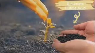 X-humate humic acid with NPK fertilizer in black shiny ball