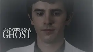 Shaun Murphy || Flowers for a ghost