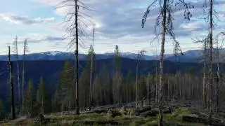 Iron Daisy Enduro