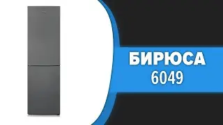Холодильник Бирюса 6049 (M6049, W6049, G6049, H6049, T6049)
