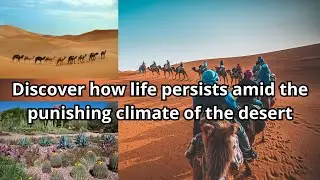 Desert Dreams:  Life in Arid Landscapes